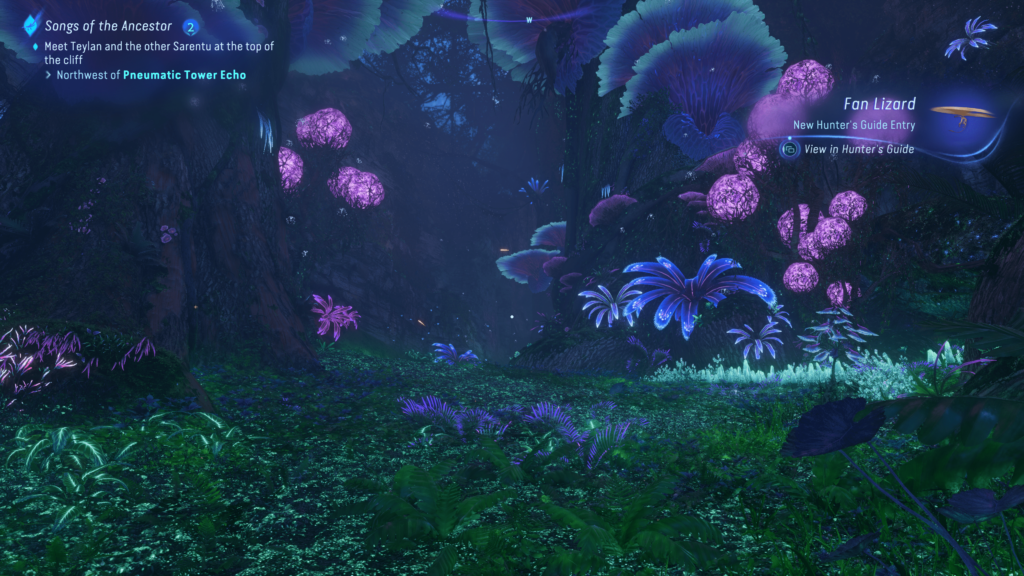 At night the plants become luminescent with blue and purple colours, creating a beautifull spectacle of nature.