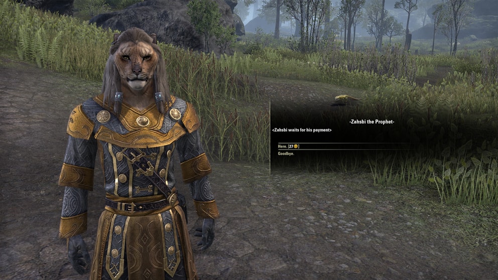 For this Elder Scrolls Online Blackwood review we had many fun side encounters, like this khajit predicting your future for coin.