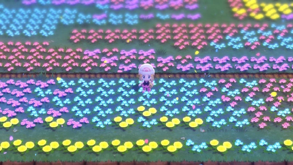 Screenshot in a flower field
