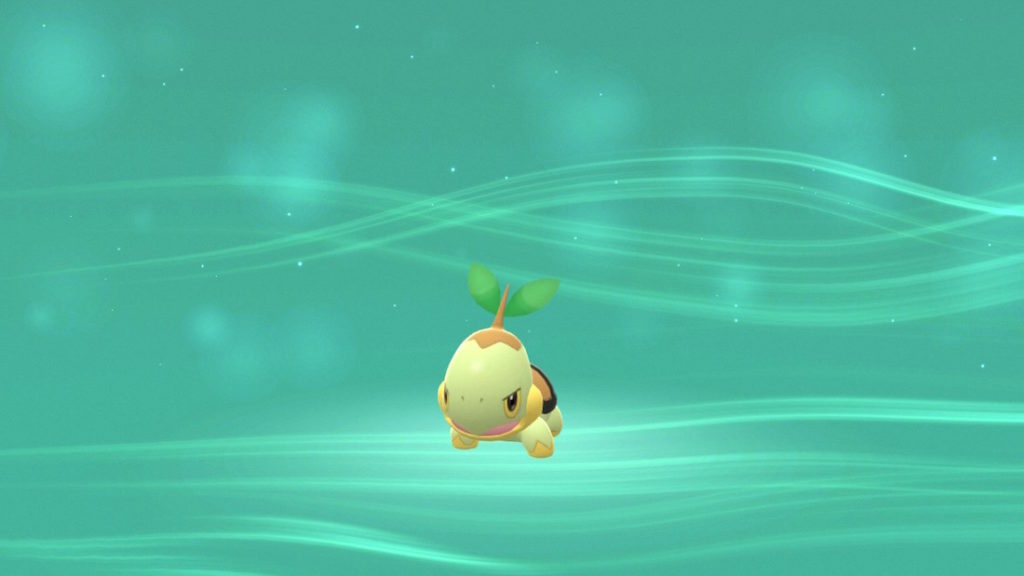 Turtwig looking fierce before evolving