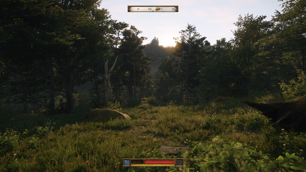 Walking through the forest on a hill as the sun sets, viewing it from an open patch of grass with the sun slowly receding on a faraway ridge.