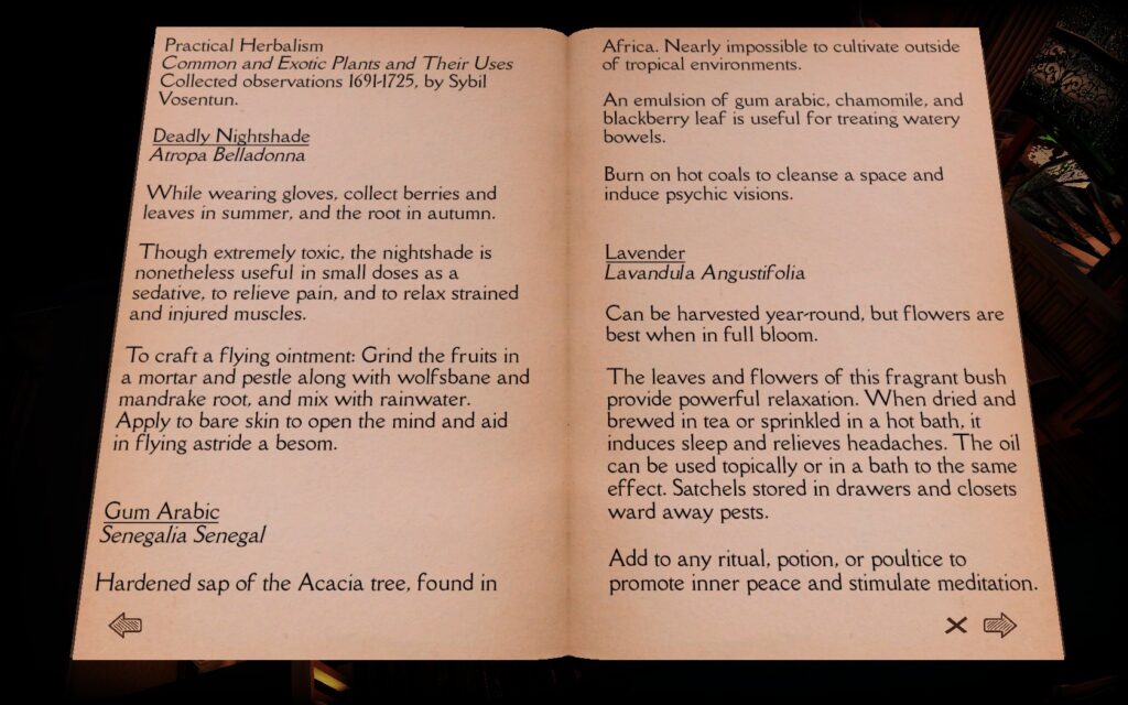 The Necromancer's Tale